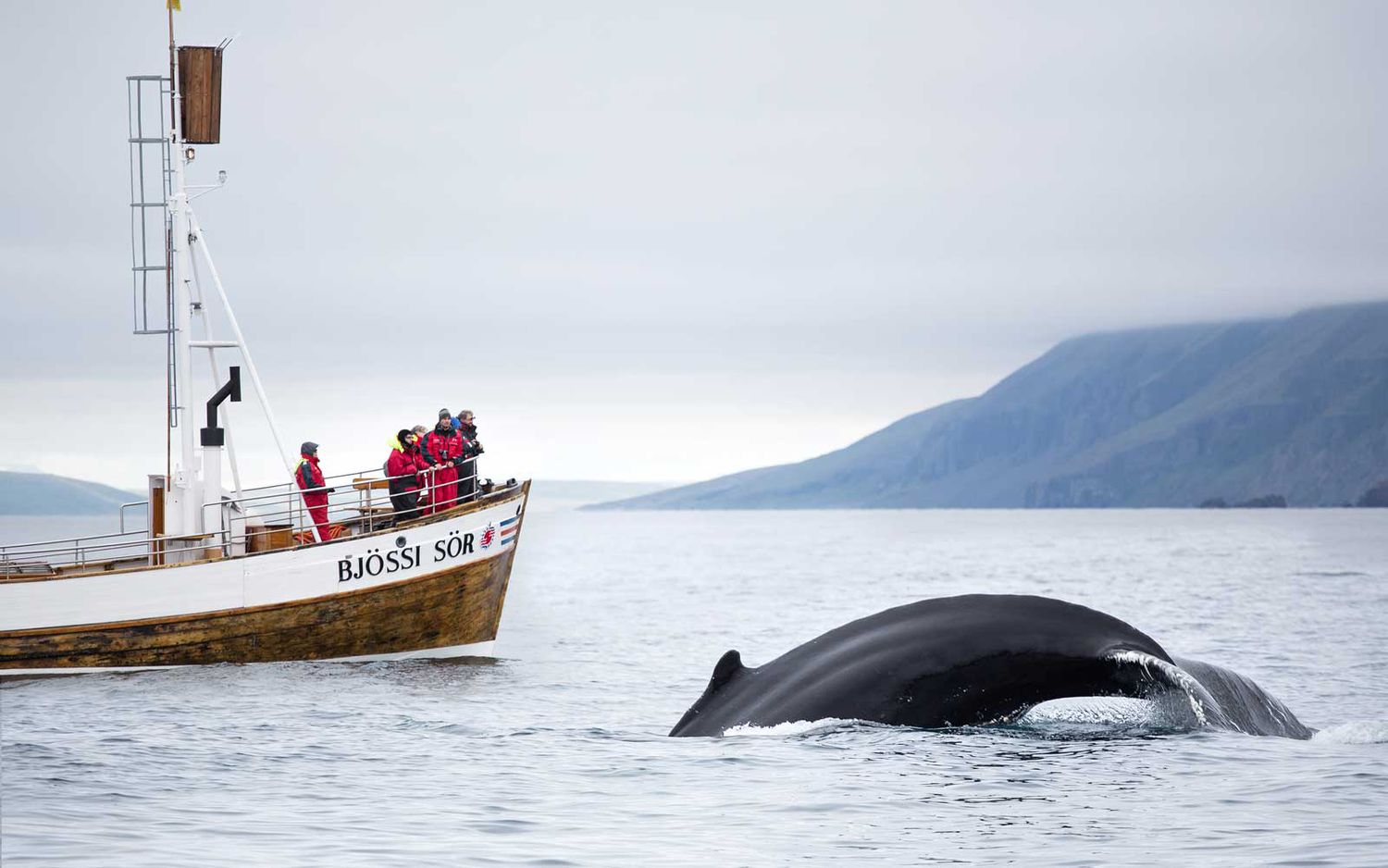 These Are the Best Times to Visit Iceland